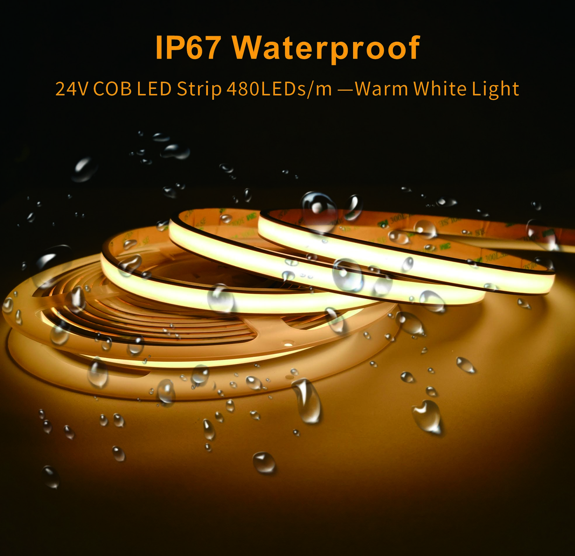 S36沙龙会 - 要玩就玩沙龙会