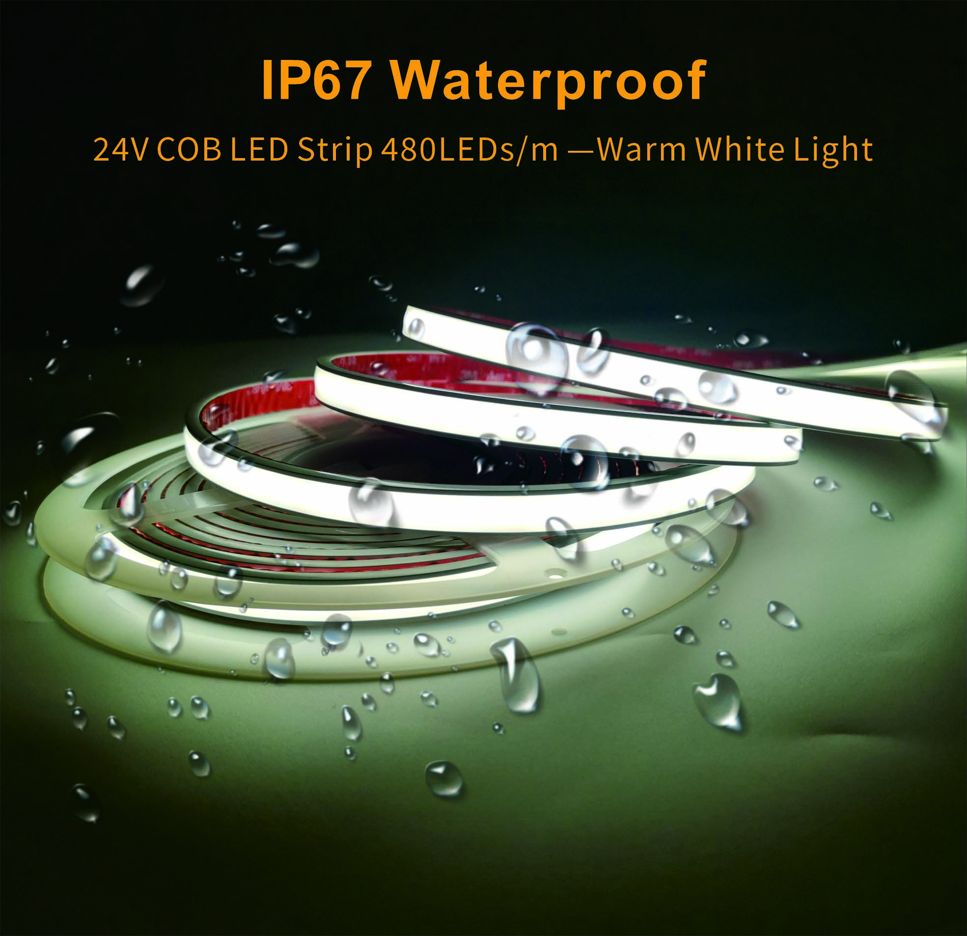 S36沙龙会 - 要玩就玩沙龙会