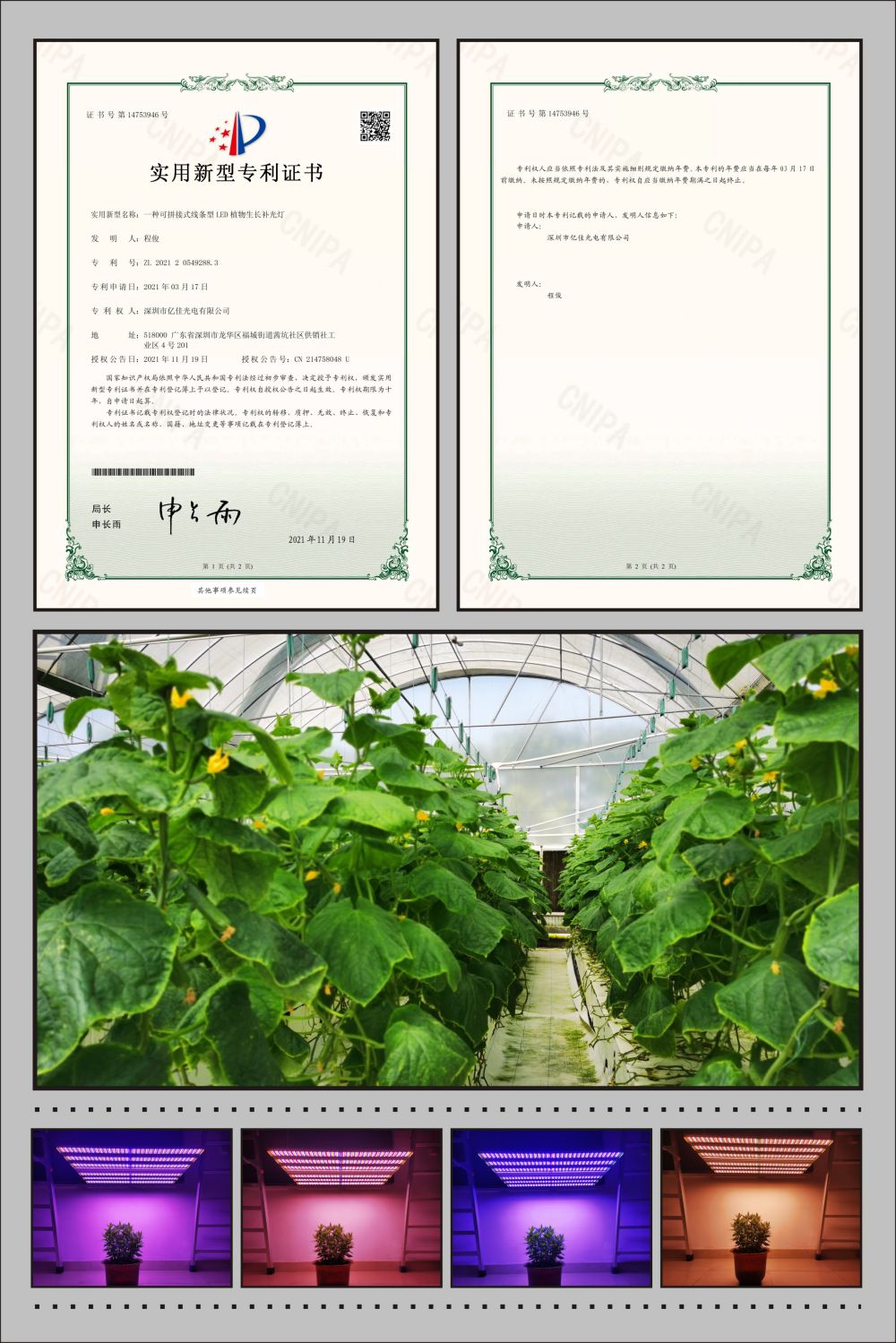 S36沙龙会植物农场灯适用新型专利