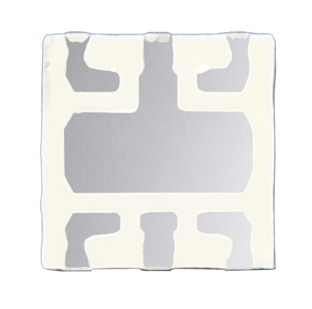 S36沙龙会 - 要玩就玩沙龙会