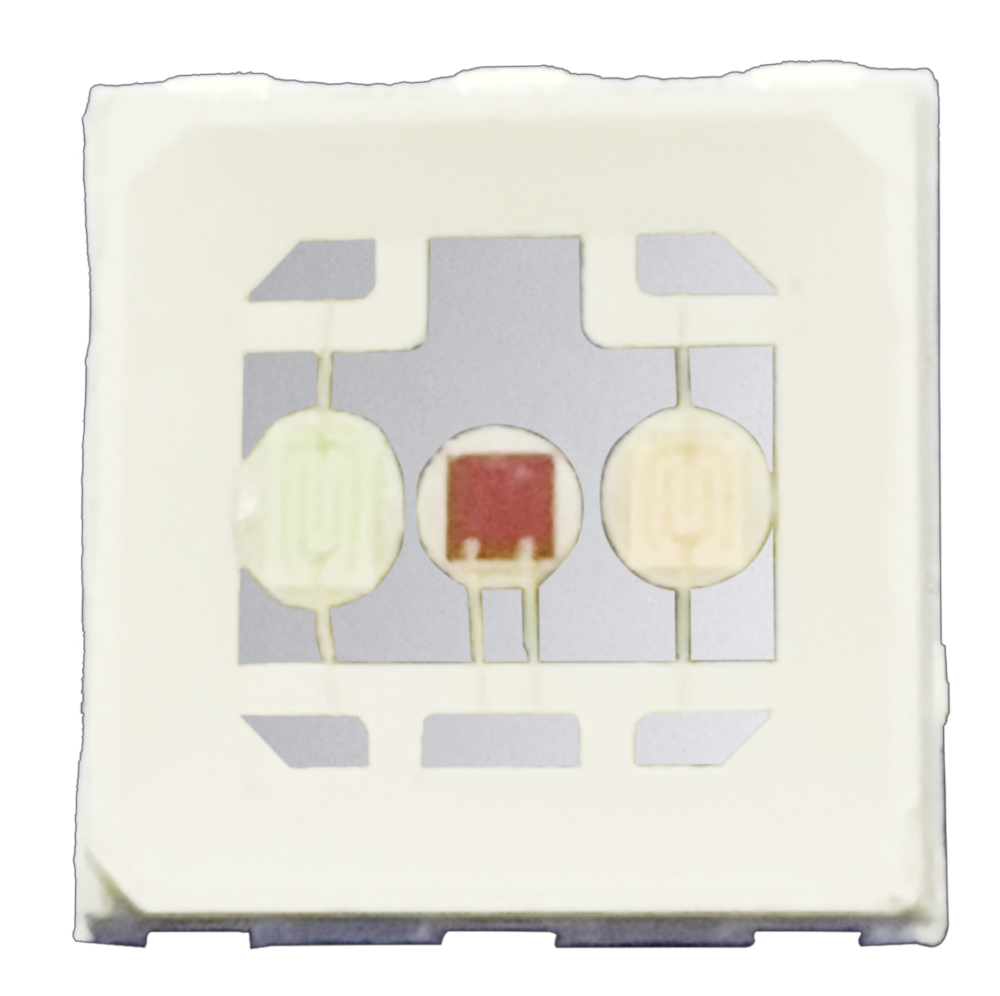 S36沙龙会 - 要玩就玩沙龙会