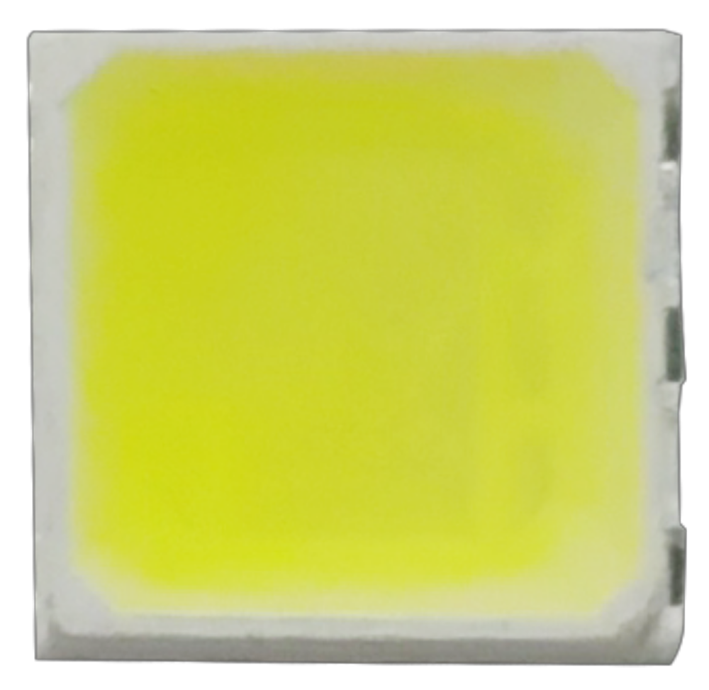 S36沙龙会 - 要玩就玩沙龙会