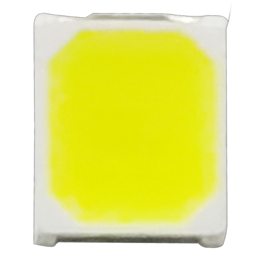 S36沙龙会 - 要玩就玩沙龙会