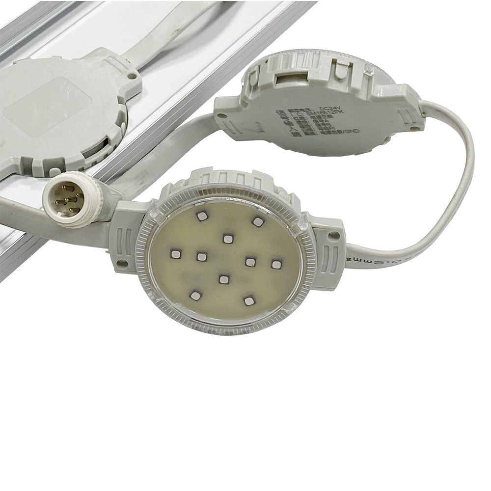 S36沙龙会 - 要玩就玩沙龙会