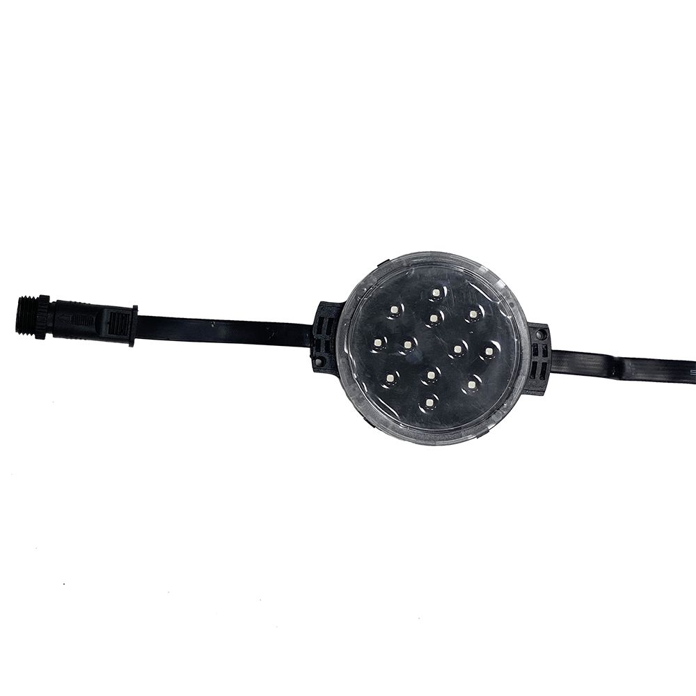 S36沙龙会 - 要玩就玩沙龙会