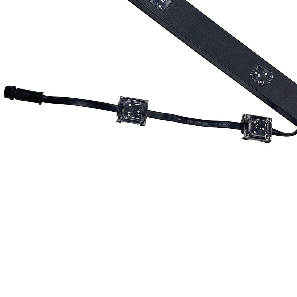 S36沙龙会 - 要玩就玩沙龙会